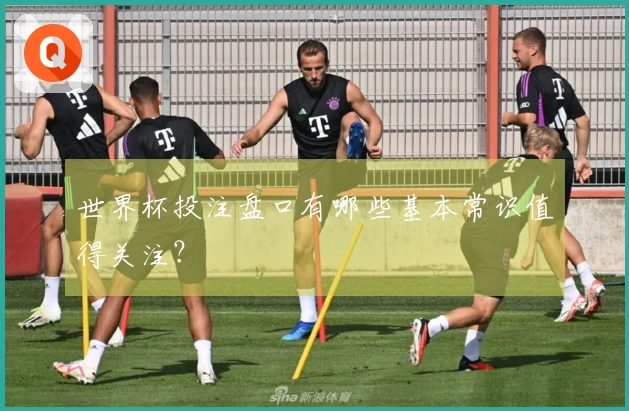 世界杯投注盘口有哪些基本常识值得关注？