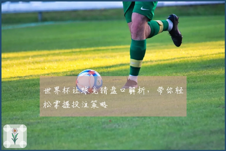 世界杯让球竞猜盘口解析，带你轻松掌握投注策略