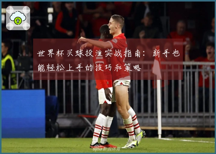 世界杯买球投注实战指南：新手也能轻松上手的技巧和策略