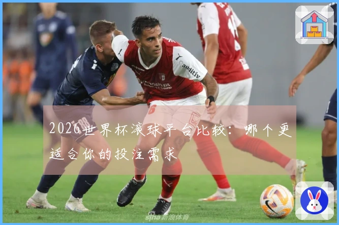 2026世界杯滚球平台比较：哪个更适合你的投注需求