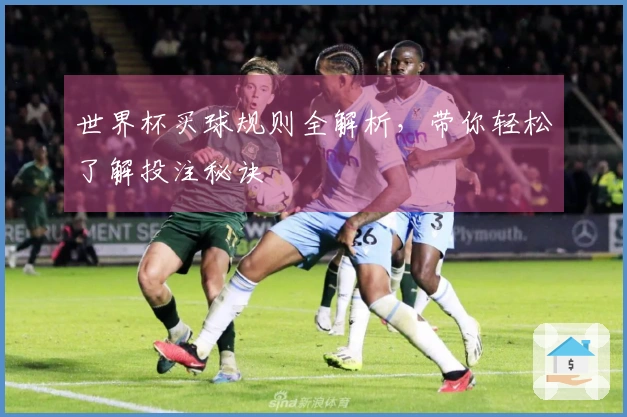 世界杯买球规则全解析，带你轻松了解投注秘诀
