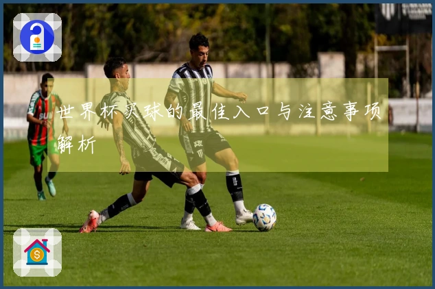 世界杯买球的最佳入口与注意事项解析